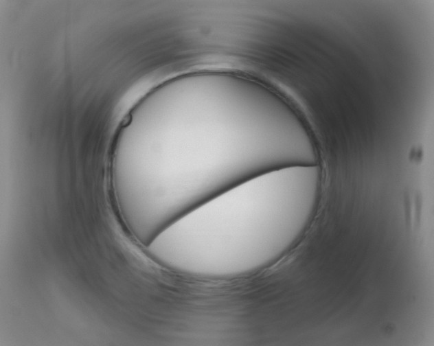 X0000113101467200908280940