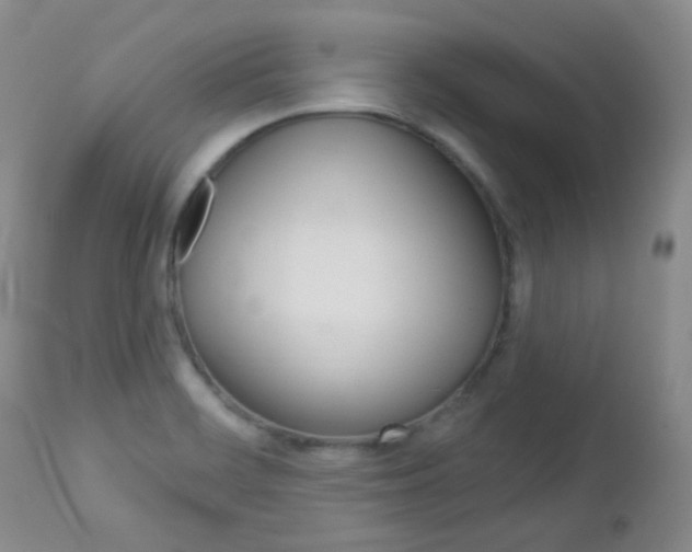 X0000113101468200908280940