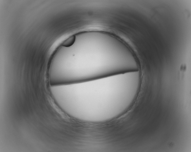 X0000113101469200908280940