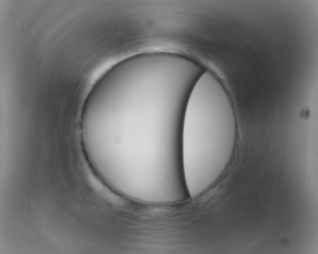 X0000113101471200908280940