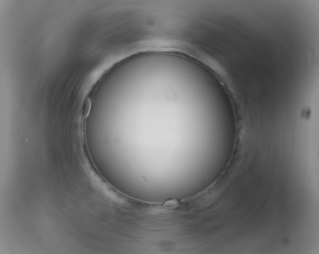 X0000113101472200908280940