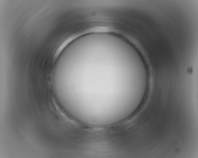 X0000113101473200908280940