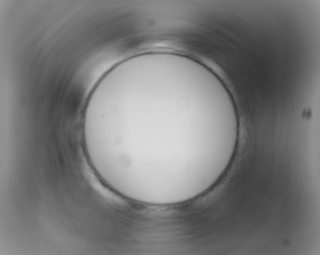 X0000113101474200908280940