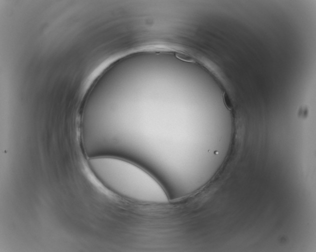 X0000113101476200908280940