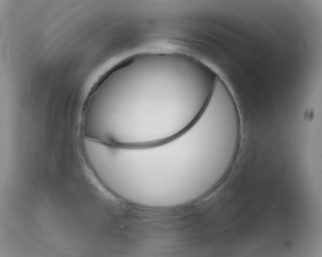 X0000113101477200908280940
