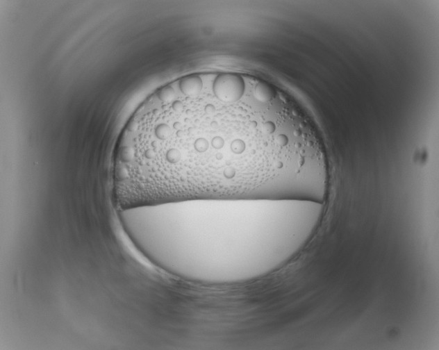 X0000113101479200908280940