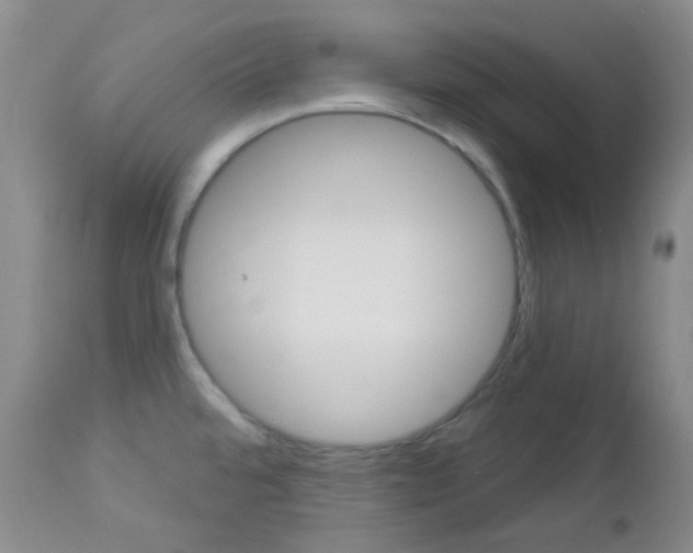 X0000113101480200908280940