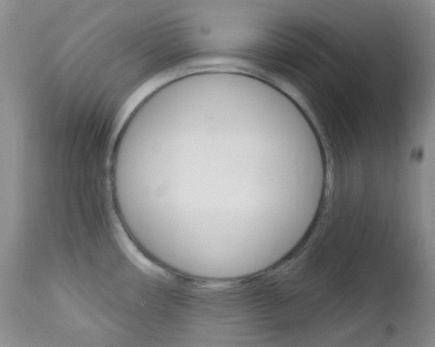 X0000113101482200908280940