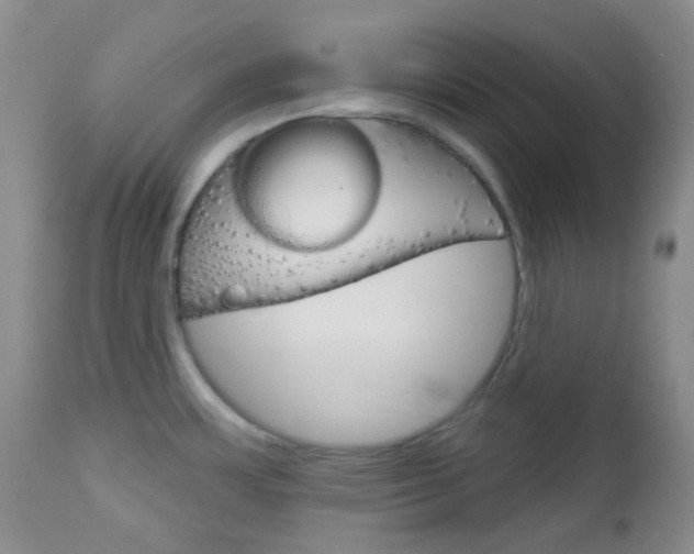 X0000113101483200908280940