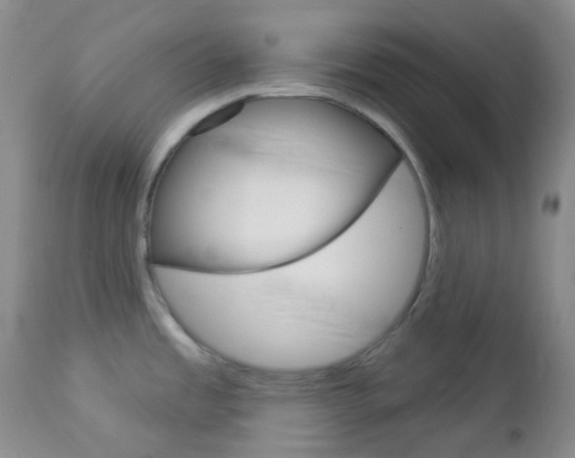 X0000113101485200908280940