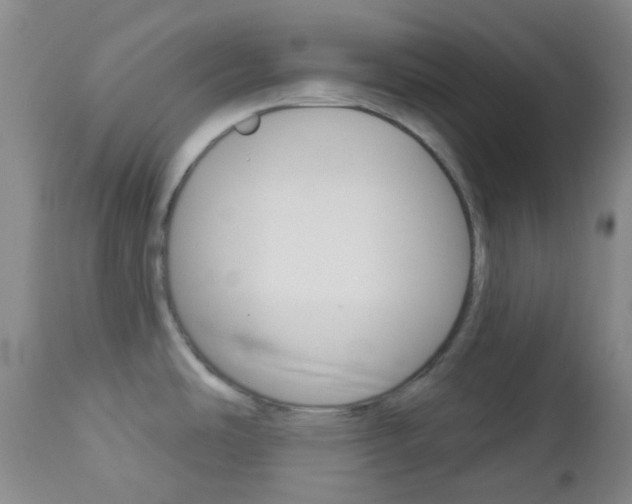 X0000113101486200908280940