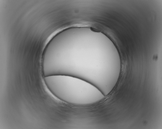 X0000113101487200908280940
