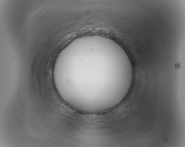 X0000113101489200908280939