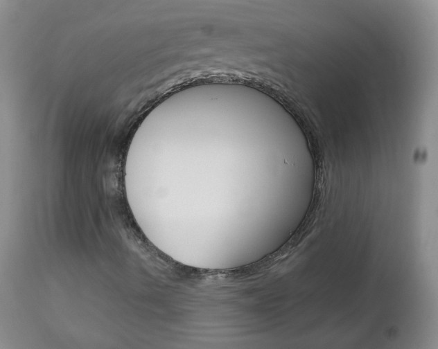 X0000113101490200908280939