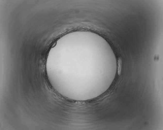 X0000113101491200908280939
