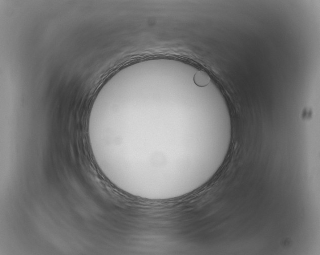 X0000113101492200908280939