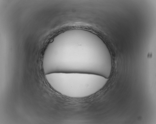 X0000113101493200908280939