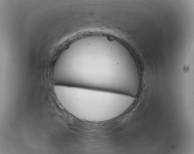 X0000113101494200908280940