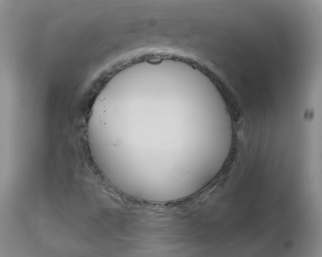 X0000113101495200908280940