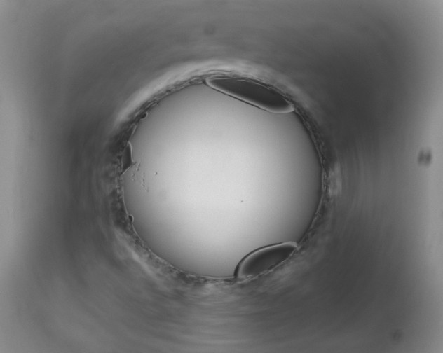 X0000113101496200908280940