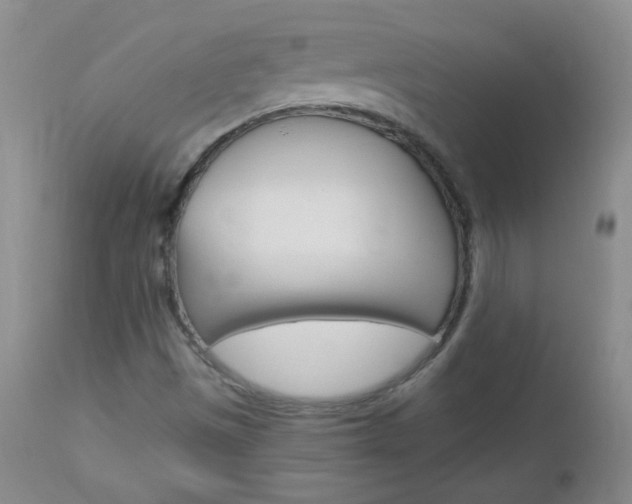 X0000113101497200908280940