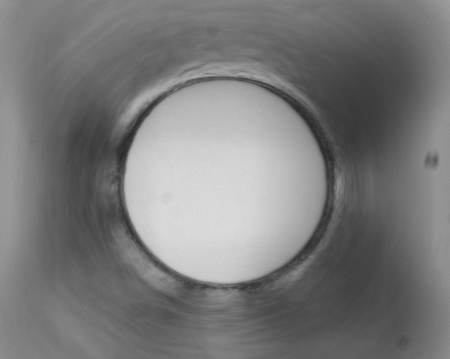 X0000113101498200908280940
