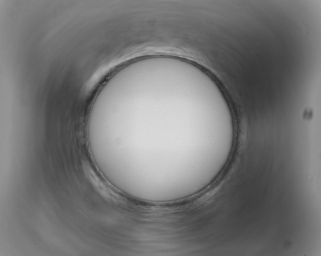 X0000113101499200908280940