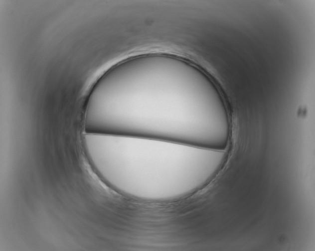 X0000113101500200908280940
