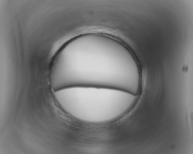 X0000113101501200908280940