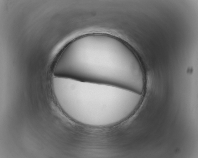 X0000113101502200908280940