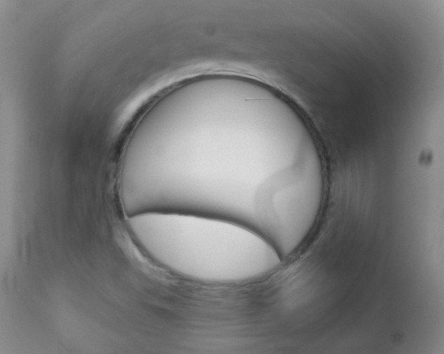 X0000113101503200908280940