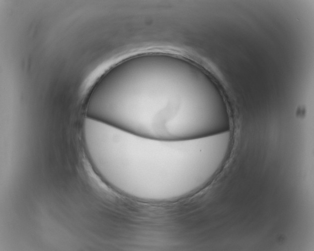X0000113101504200908280940