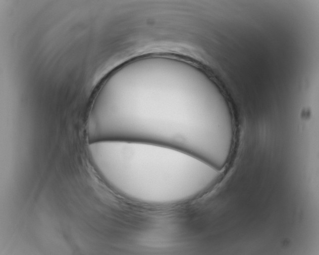 X0000113101505200908280940