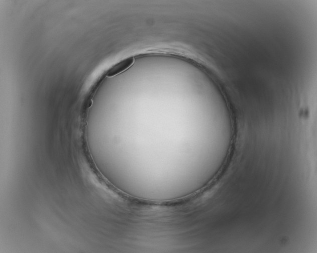 X0000113101506200908280940