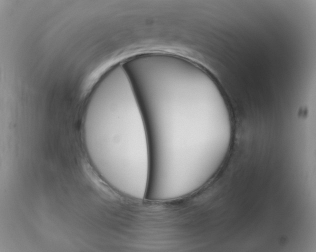X0000113101507200908280940