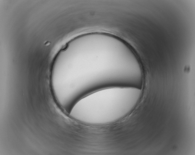 X0000113101508200908280940