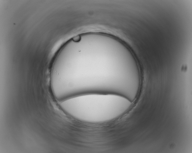 X0000113101509200908280940