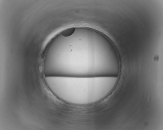 X0000113101510200908280940