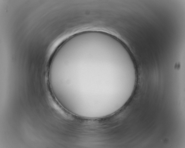 X0000113101511200908280940