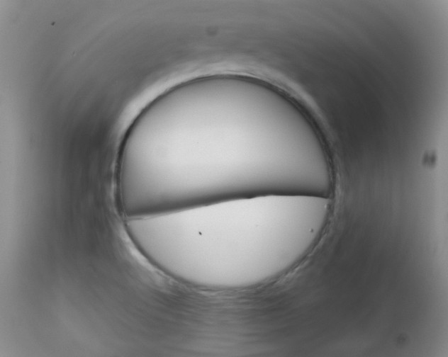 X0000113101512200908280940