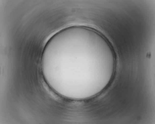 X0000113101513200908280940