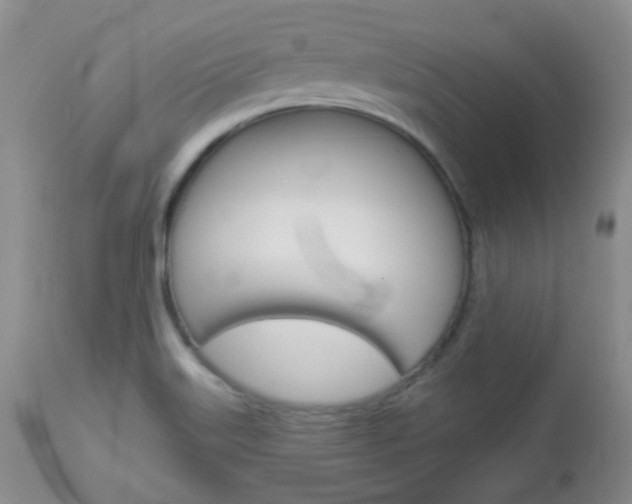X0000113101515200908280940