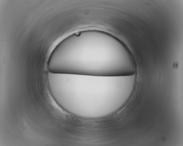 X0000113101516200908280940