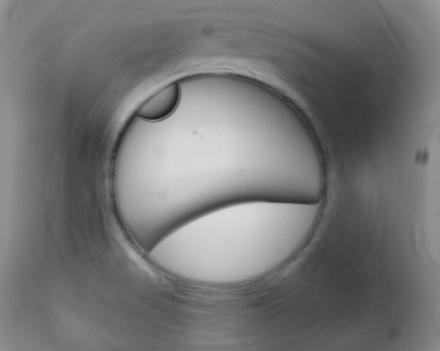 X0000113101517200908280940
