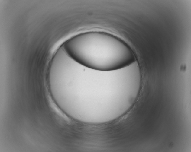 X0000113101518200908280940