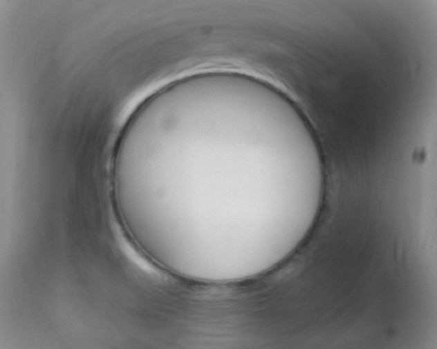 X0000113101519200908280940