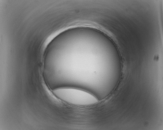 X0000113101520200908280940
