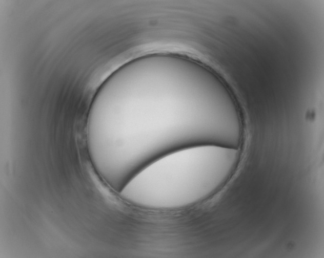 X0000113101521200908280940