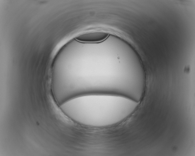 X0000113101522200908280940