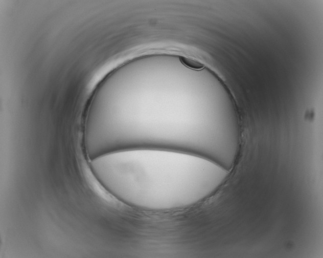 X0000113101523200908280940